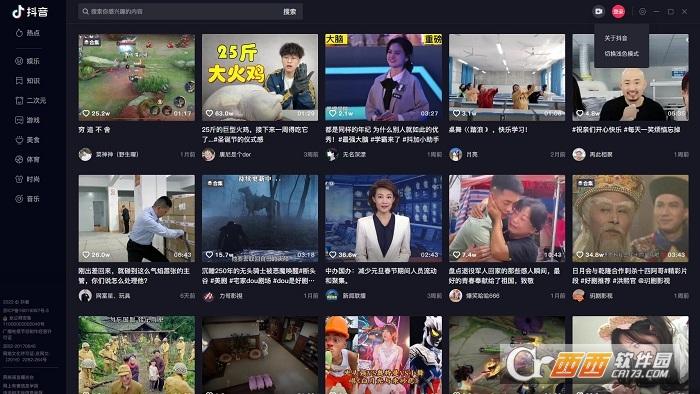 抖音电脑版官方正版,短视频平台.
