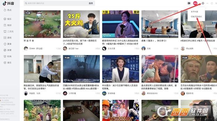 抖音电脑版官方正版,短视频平台.